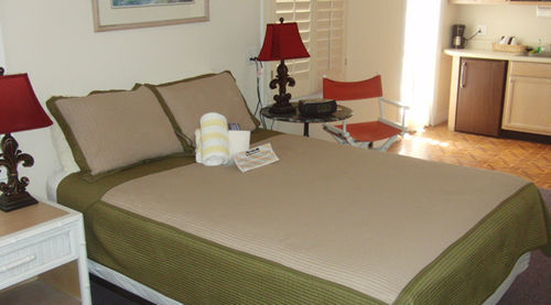 Affittacamere New Orleans House - Gay Male Adult 2*